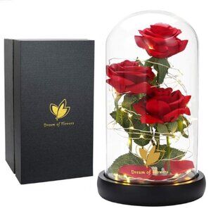 Dream of Flowers Gift Beauty and The Beast Roses in Glass Dome